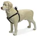 Beeztees Hundegeschirr Mac Leder schwarz