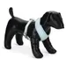 Beeztees Puppy Geschirr Harno hellblau