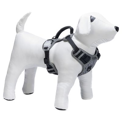 Beeztees Y-Geschirr Parinca Safety Gear LED Nylon schwarz