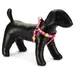 Beeztees Hundegeschirr Herz Nylon pink