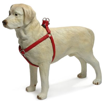 Beeztees Hundegeschirr Mac Leder rot