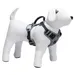 Beeztees Y-Geschirr Parinca Safety Gear LED Nylon schwarz
