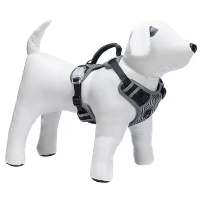 Beeztees Y-Geschirr Parinca Safety Gear LED Nylon schwarz Beeztees Y-Geschirr Parinca Safety Gear LED Nylon schwarz