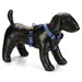 Beeztees Hunde Y-Geschirr Parinca Premium Nylon blau