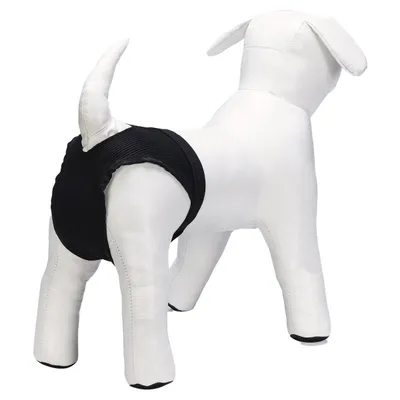 Beeztees Hunde Hygienehose Beeztees Hunde Hygienehose