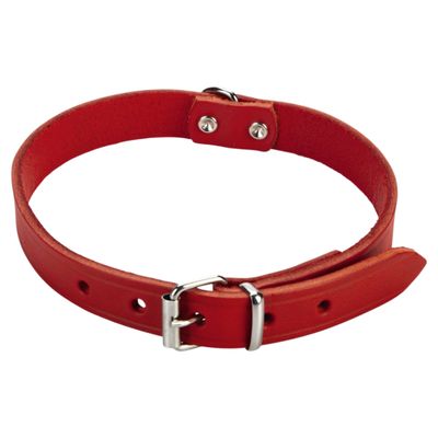 Beeztees Hundehalsband Leder rot