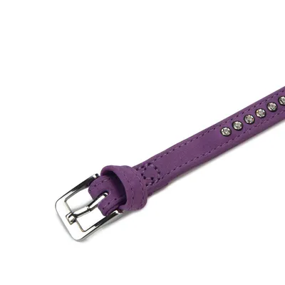 Beeztees Hundehalsband Buffalo Leder lila Beeztees Hundehalsband Buffalo Leder lila