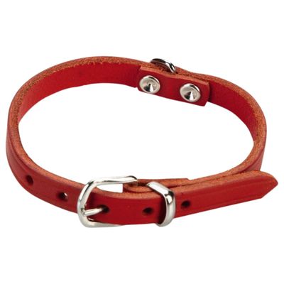 Beeztees Hundehalsband Leder rot