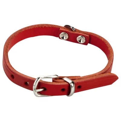 Beeztees Hundehalsband Leder rot