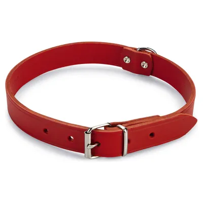 Beeztees Hundehalsband Leder rot