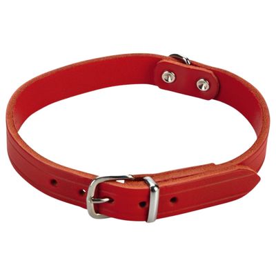 Beeztees Hundehalsband Leder rot