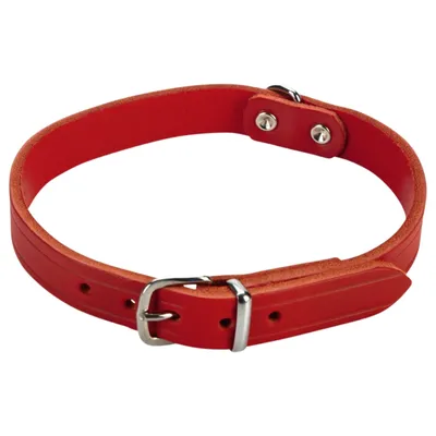 Beeztees Hundehalsband Leder rot