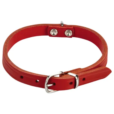 Beeztees Hundehalsband Leder rot
