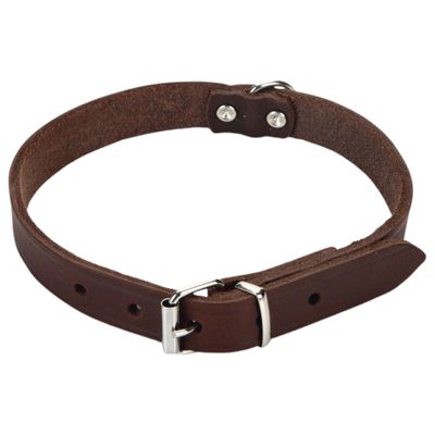 Beeztees Hundehalsband Leder braun