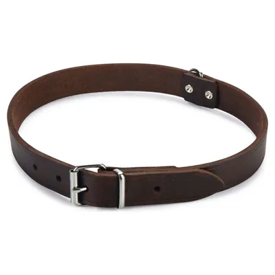 Beeztees Hundehalsband Leder braun Beeztees Hundehalsband Leder braun