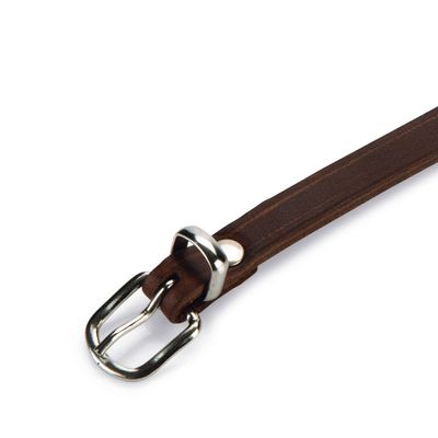 Beeztees Hundehalsband Leder braun