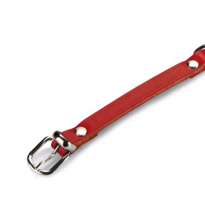Beeztees Hundehalsband Leder rot