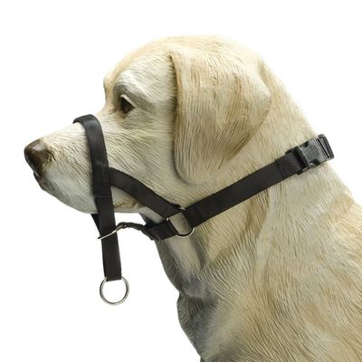 Beeztees Nasenband Dog Control schwarz