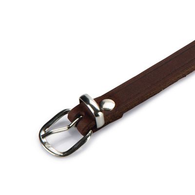 Beeztees Hundehalsband Leder braun