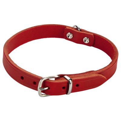 Beeztees Hundehalsband Leder rot