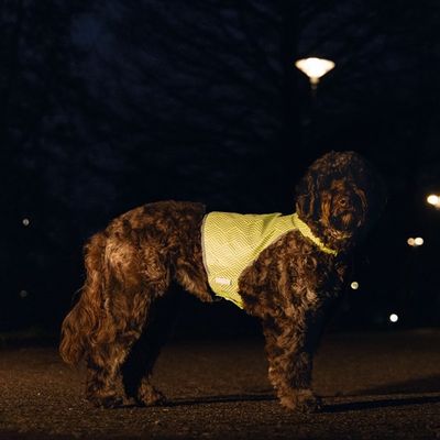 Beeztees Safety Gear Sicherheitsweste Ava reflektierend