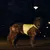 Beeztees Safety Gear Sicherheitsweste Ava reflektierend Beeztees Safety Gear Sicherheitsweste Ava reflektierend