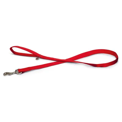 Beeztees Hundeleine Mac Leder rot