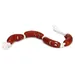 Beeztees Hundespielzeug Wurst mit Seil Vinyl