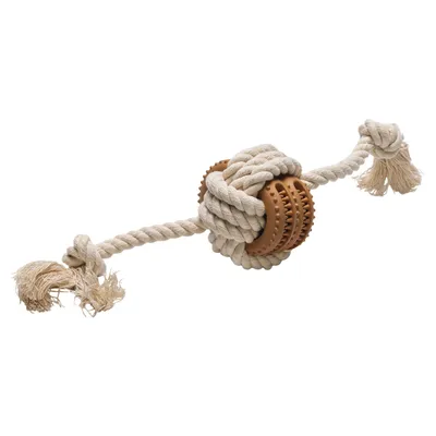 Beeztees Hundespielzeug Puppy Dental Spielseil Fem aus Gummi/Baumwolle Beeztees Hundespielzeug Puppy Dental Spielseil Fem aus Gummi/Baumwolle