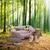 Beeztees Minus One Hundespielzeug Mantarochen grau-beige
