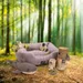 Beeztees Minus One Hundespielzeug Mantarochen grau-beige
