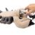 Beeztees Minus One Hundespielzeug Hummer mit Plastikflasche grau-beige