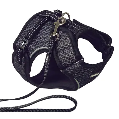 Nobby Katzengarnitur Flap schwarz Nobby Katzengarnitur Flap schwarz