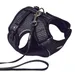Nobby Katzengarnitur Flap schwarz