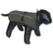 Nobby Hundemantel Timis oliv