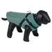 Nobby Hundemantel Lika 2 in 1 cascade