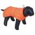 80 cm