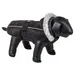 Nobby Hundemantel Boka schwarz