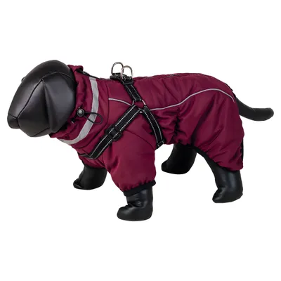 Nobby Hundemantel Elor 2 in 1 bordeaux Nobby Hundemantel Elor 2 in 1 bordeaux