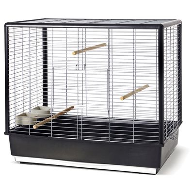Nobby Vogelheim Noah 60