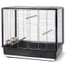 Nobby Vogelheim Noah 60