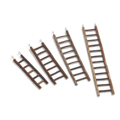 Karlie Sittichleiter mit Rinde