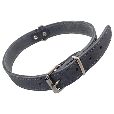 Nobby Halsband Tabil grau