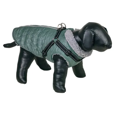 Nobby Hundemantel Polara 2in1 cascade Nobby Hundemantel Polara 2in1 cascade