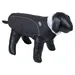 Nobby Hundepullover Alva schwarz