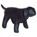 Nobby Hunde Pullover Jill braun