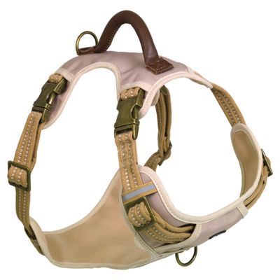 Nobby Geschirr Sporty beige