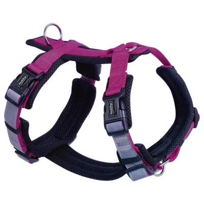 Nobby Geschirr Daily Walk Comfort himbeere Nobby Geschirr Daily Walk Comfort himbeere