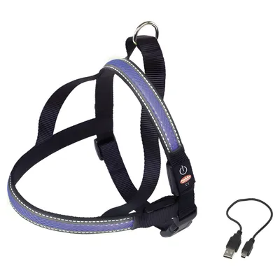 Nobby Norweger Geschirr Flash Mesh blau Nobby Norweger Geschirr Flash Mesh blau
