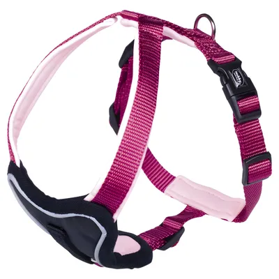 Nobby Komfort Geschirr Classic Preno himbeere/pink Nobby Komfort Geschirr Classic Preno himbeere/pink